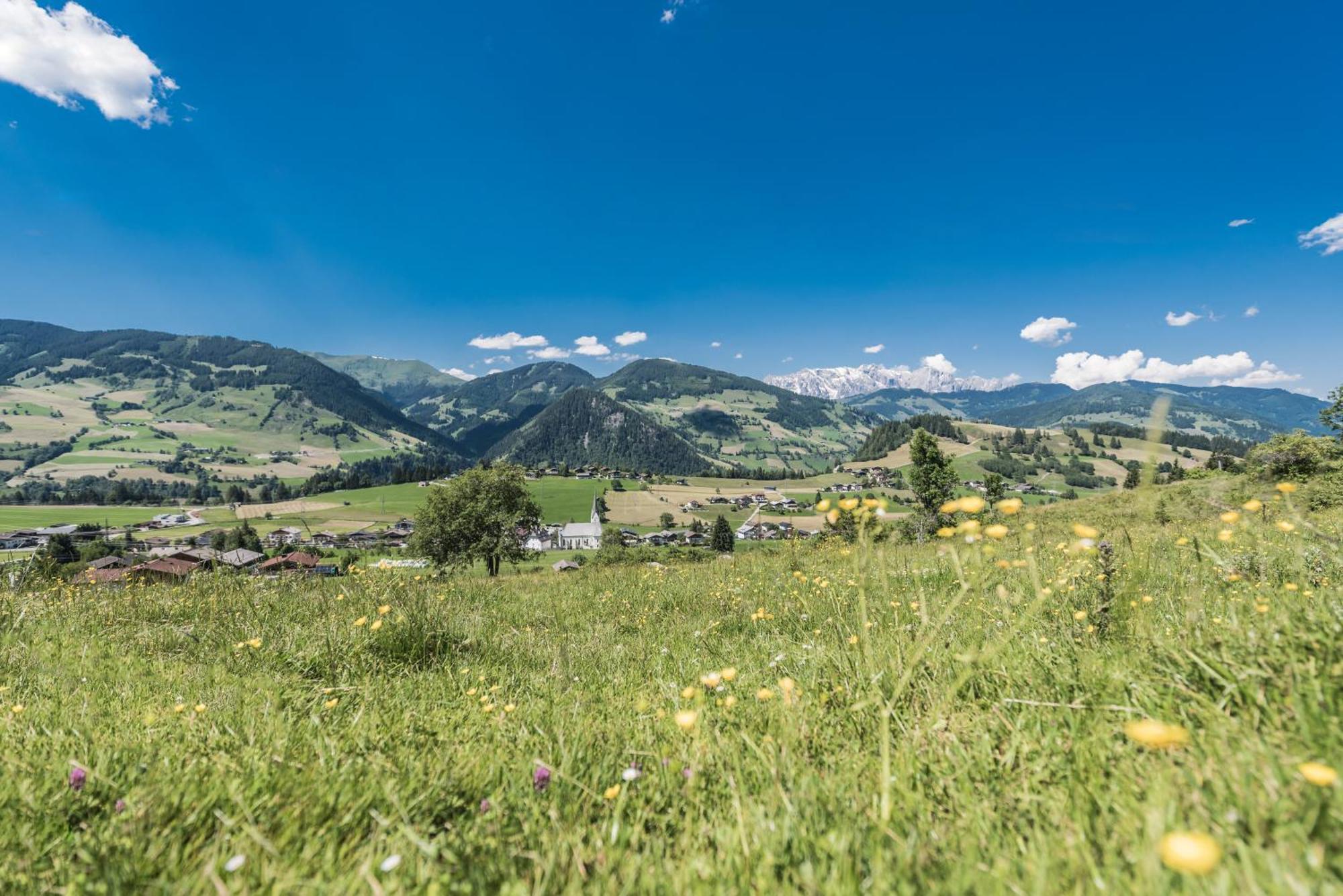 Ferienhaus Sommerbichl Zell am See Dış mekan fotoğraf